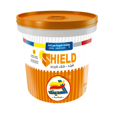 Shield Texture Paint